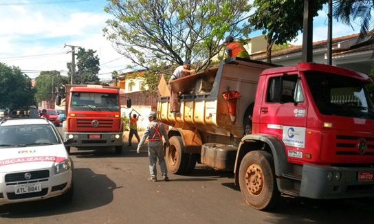 limpeza urbana dengue